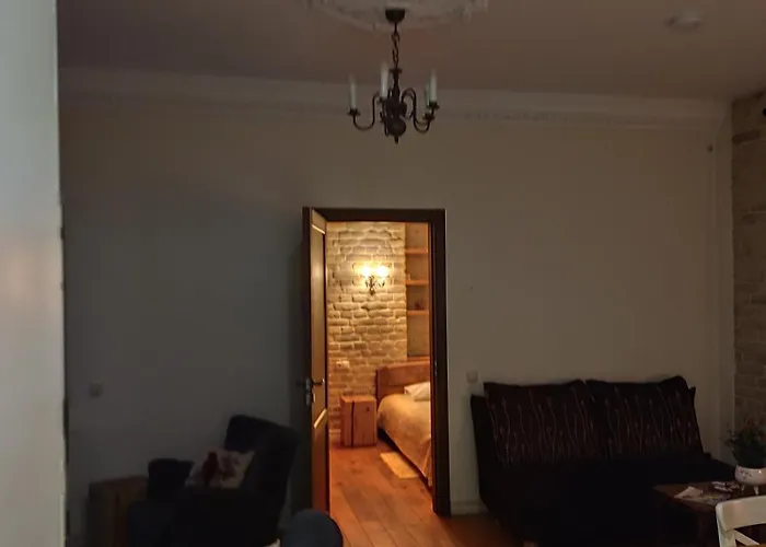 Old Town Cosy One Bedroom With Fireplace * فيلنيوس