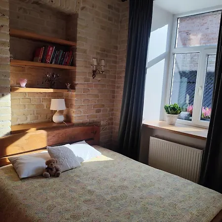 Lägenhet Old Town Cosy One Bedroom With Fireplace Vilnius